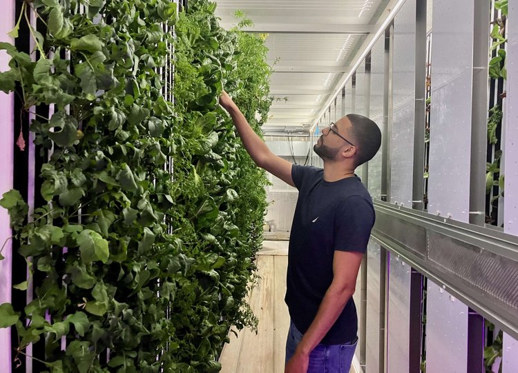 shipping container garden